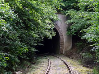 Wandertag 2012